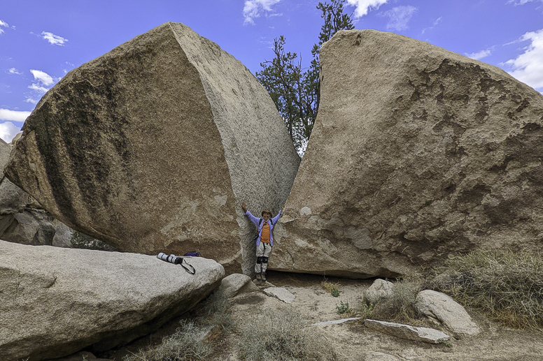 Desert Biogeography of Joshua Tree National Park